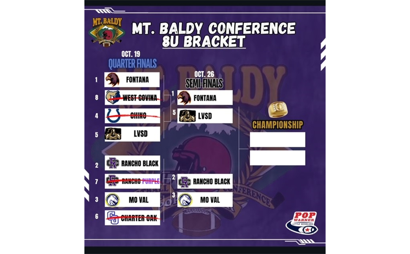 8U PLAYOFF BRACKET